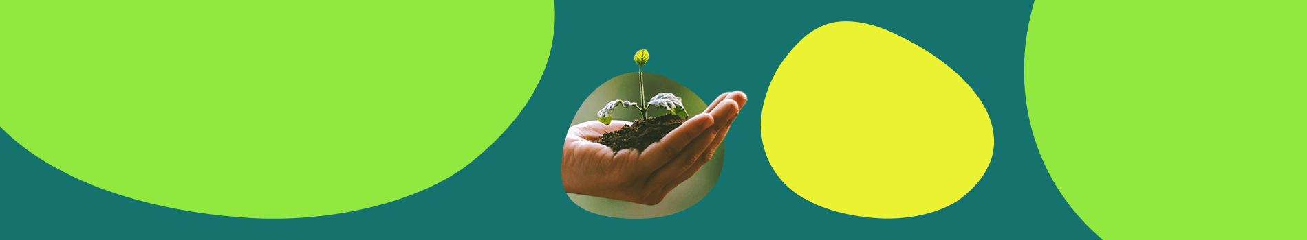 SEIS investment surges as government reforms unlock early-stage funding